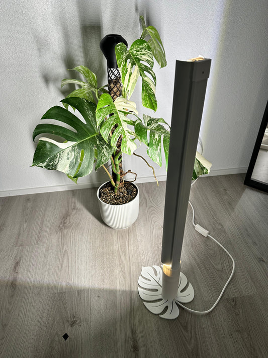 Monstera Blatt Grow Light Ständer Beispiel